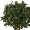 Nearly Natural; 4.5ft. Sweet Bay Double Topiary Tree in Black Planter; Category:Trees & Floor Plants; Image:3